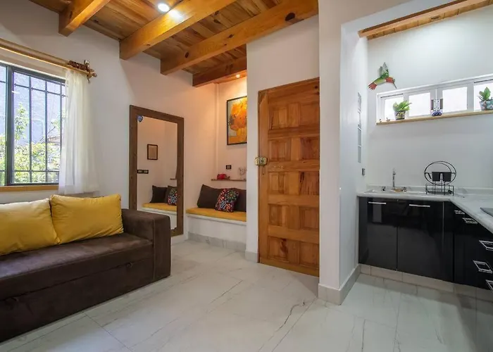 Ursus, Mi Casita En Mexico